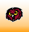 Owlsports