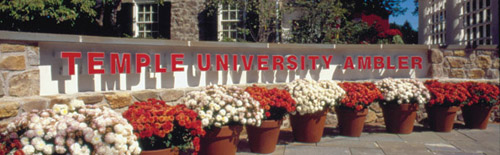 Temple University Ambler