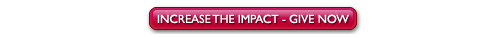 Increse the Impact - Give Now