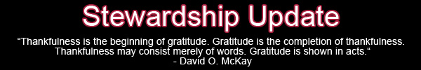 "Thankfulness is the beginning of gratitude. Gratitude is the completion of thankfulness. Thankfulness may consist merely of words. Gratitude is shown in acts." - David O McKay