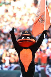 Orioles