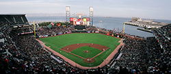 Northern California Chapter of the TUAA: Phillies vs. Giants Outing