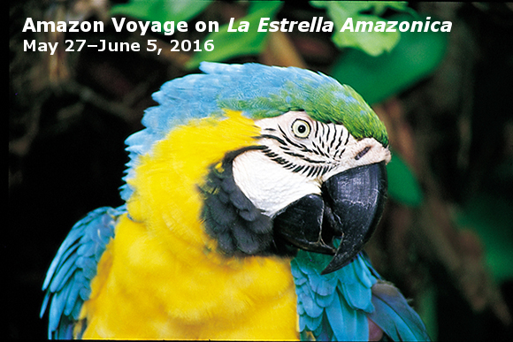 Amazon Voyage