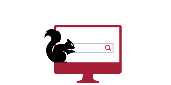 An illustration of a squirrel in front of a computer screen with a search bar.
