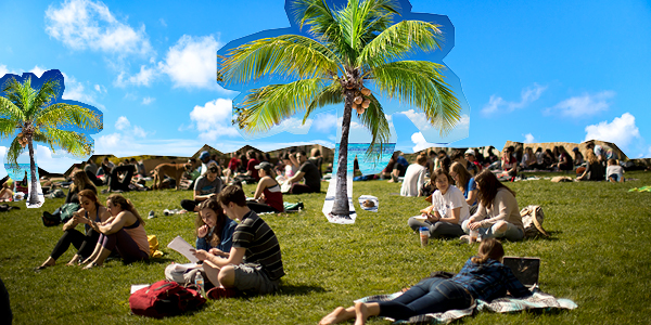 Students sitting on grass with a photoshopped background of palm trees