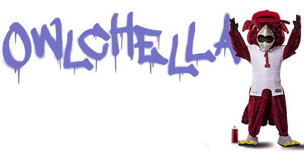An illustration of Hooter spray painting “Owlchella”. 