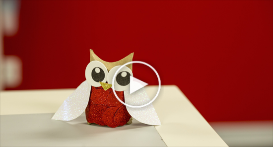 Owl gift