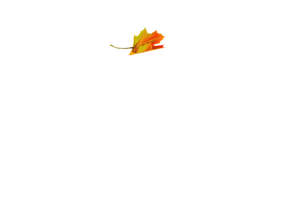 Leaves falling animated gif