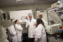 A team of scientists talking in a laboratory.