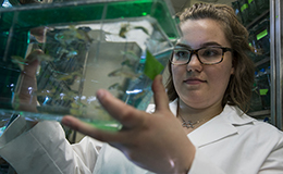 A student holding up a small tank of water and looking at the fish inside.  