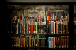 Books on a shelf at Paley Library 