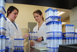 Engineering researchers handling test tubes in a lab.